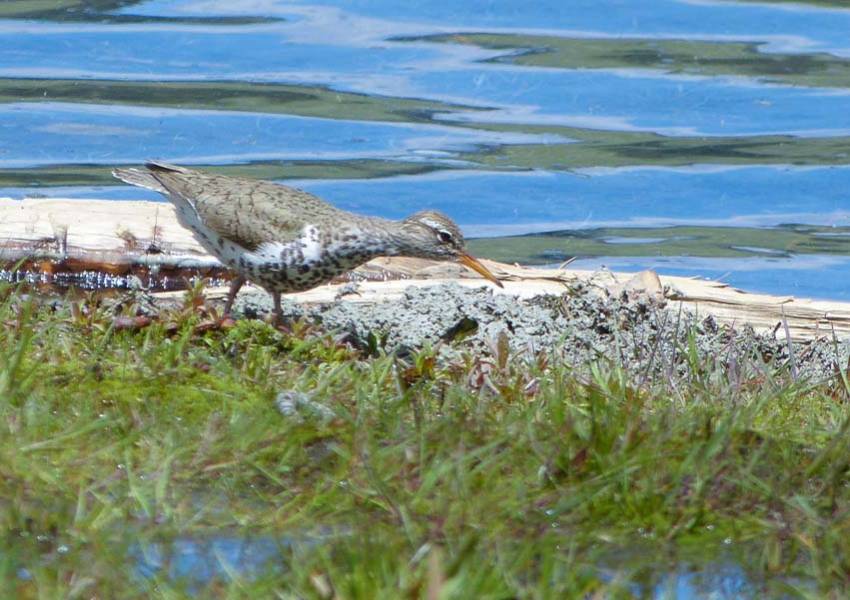 wallowa lake riverside d u
